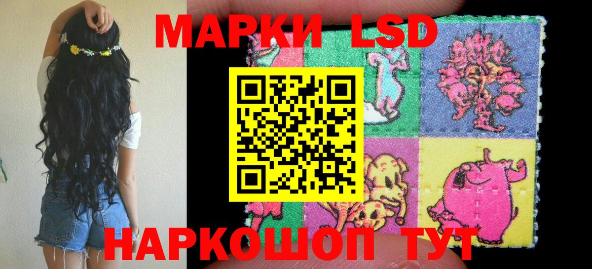 Наркотические марки 1500мкг Волхов