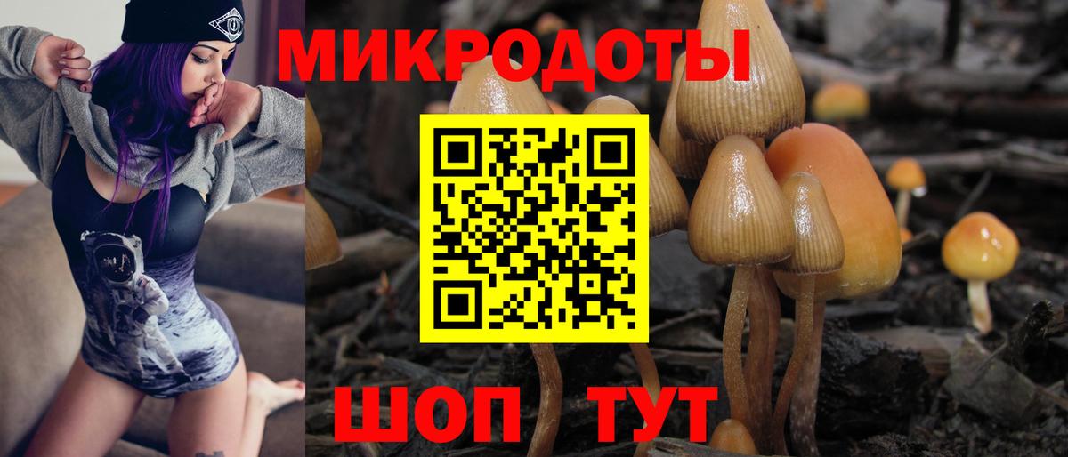 Галлюциногенные грибы ЛСД Волхов