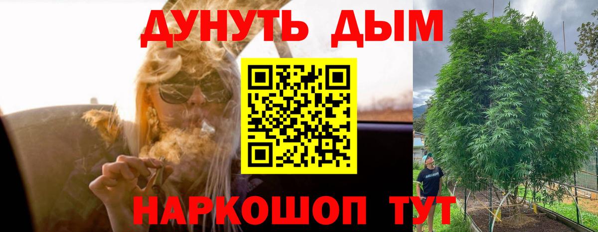 Волхов  Бошки марихуана SATIVA & INDICA  Канабис ГИДРОПОН  Конопля Bruce Banner  Вход с VPN 